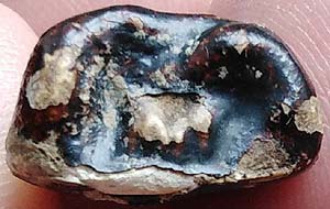 *ปิดตามหาอุตม์ ครึ่งซีก เนื้อผงจุ่มรัก หลวงปู่ทับ วัดทอง กทม.*