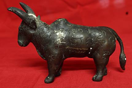 วัวธนูหลวงพ่ออวยพร วัดดอนยายหอม ปี 2559