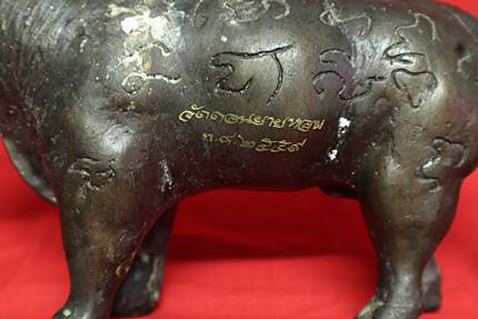 วัวธนูหลวงพ่ออวยพร วัดดอนยายหอม ปี 2559