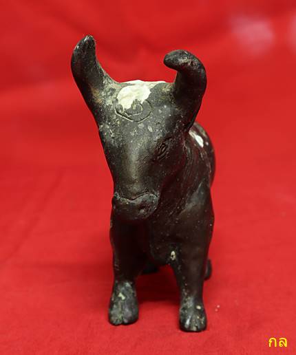 วัวธนูหลวงพ่ออวยพร วัดดอนยายหอม ปี 2559