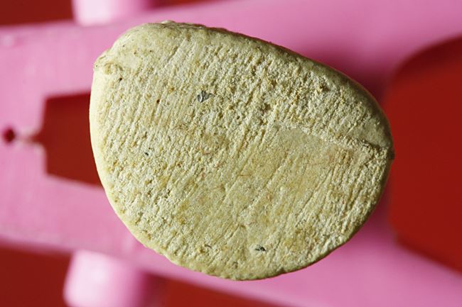 พระสังกัจจายน์ วัดพระบาทอุดม อ.ฝาง จ.เชียงใหม่ พร้อมกล่องเดิม