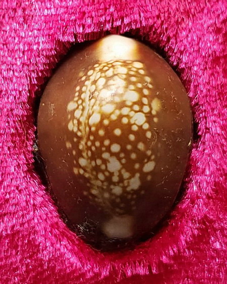 เบี้ยแก้ตะกรุดเงิน หลวงพ่อเกษม เขมโก สำนักสุสานไตรลักษณ์ จ.ลำปาง