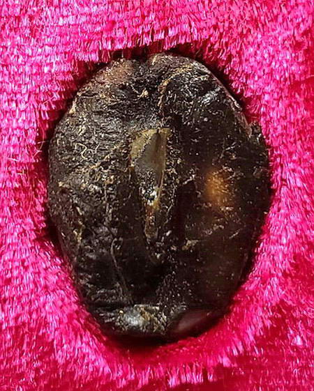 เบี้ยแก้ตะกรุดเงิน หลวงพ่อเกษม เขมโก สำนักสุสานไตรลักษณ์ จ.ลำปาง