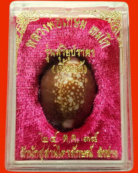 เบี้ยแก้ตะกรุดเงิน หลวงพ่อเกษม เขมโก สำนักสุสานไตรลักษณ์ จ.ลำปาง