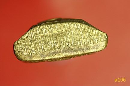 รูปเหมือนปั๊ม หลวงปู่อ่อน พุทธสโก วัดเนินมะเกลือวราราม จ.พิษณุโลก