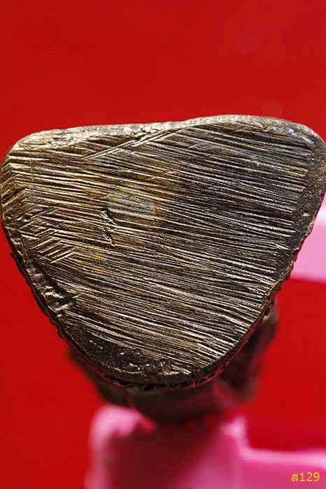 รูปหล่อ หลวงปู่อ่อน วัดมัชฌันติการาม(วัดน้อย) กรุงเทพฯ พร้อมกล่องเดิม