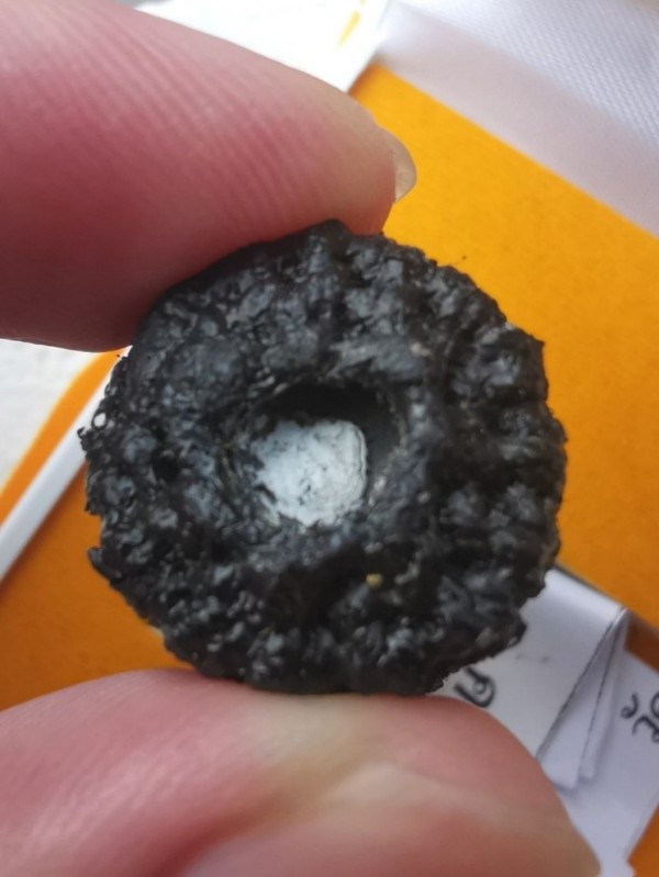 ตะกรุดมหาอุด อุดมทรัพย์ อุดมโชค หลวงพ่ออุดม วัดพิชัยสงคราม จ.อยุธยา ปี 2560