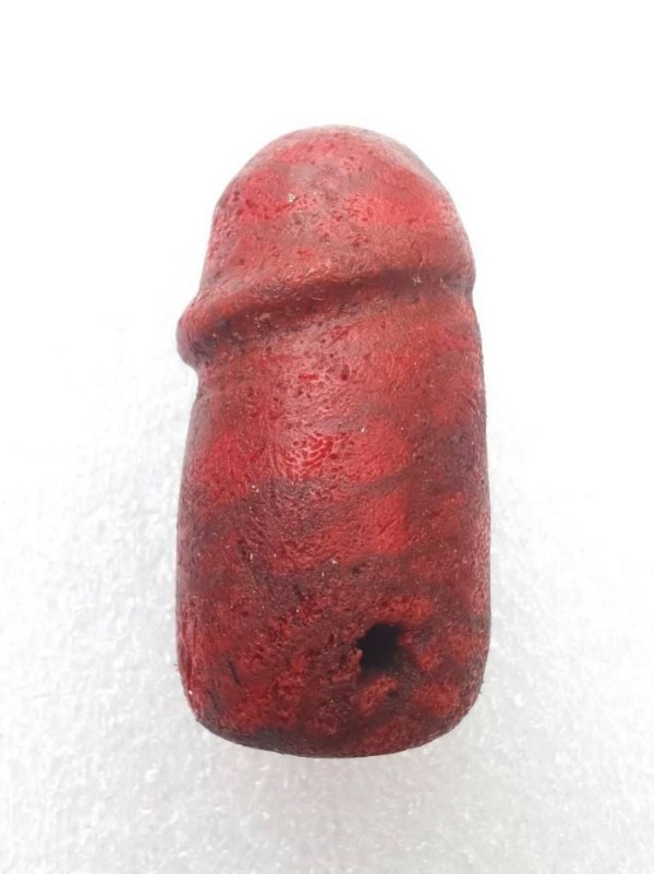 ตัวเกิด #ปลัดขิก..พระอาจารย์ประสูติ.วัดในเตา..กัลปังหาแดง..หายาก..ขนาดใหญ่มาก..กว่าจะโตขนาดนี้ใช้เวล