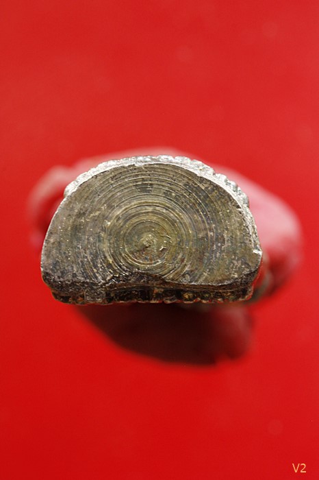 รูปหล่อเอกลักษณ์ปั๊มรุ่นแรก หลวงพ่อคูณ ปี 2536 เนื้อเงิน พร้อมกล่องเดิม