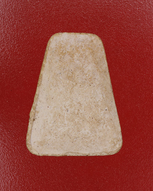 พระผงรูปเหมือนสมเด็จป๋า