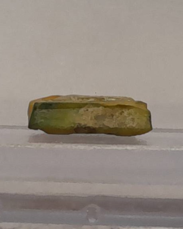 สิงห์สาริกาตาแดง งาแกะ หลวงพ่อหอม วัดชากหมาก จ.ระยอง