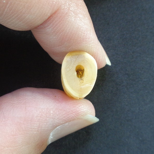 เขี้ยวเสือโปร่งฟ้าหลวงพ่อสาย วัดบางเหี้ยคลองด่าน (วัดสว่างอารมณ์) ปากคลองบางเหี้ย สวยครับ