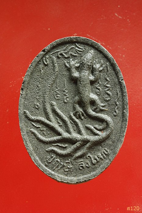 จิ้งจกสองหาง พ่อปู่ฤาษีลิงใหญ่ วัดป่าหนองกุงสามัคคีธรรม จ.กาฬสินธุิ์...../2