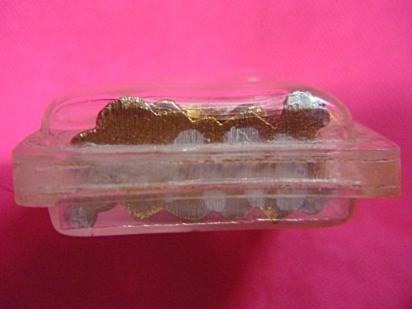 เต่าหัวมังกร หลวงพ่อประสิทธิ์ วัดห้วยเจริญผล จ.ราชบุรี (มีจาร)