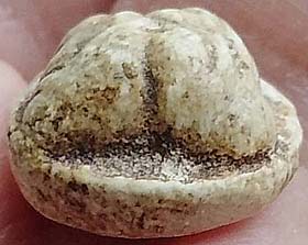 *พระผงกรุวัดอัมพวา บางกอกน้อย กรุงเทพฯ พิมพ์ปิดตาสองเกลอ*