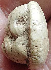 *พระผงกรุวัดอัมพวา บางกอกน้อย กรุงเทพฯ พิมพ์ปิดตาสองเกลอ*