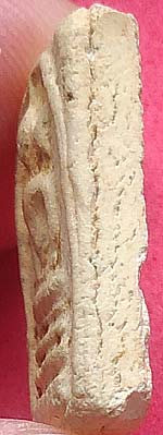 *พิมพ์คะแนน หูบายศรี ปี๒๔๙๕ หลวงปู่นาค วัดระฆังฯ*