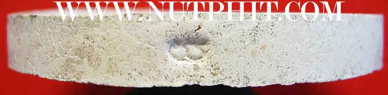 ครบชุด 3 องค์ กริ๊บยันกล่องทุกองค์ หลวงพ่อจง อยุธยา รุ่นรวยเพิ่มพูนทรัพย์*229