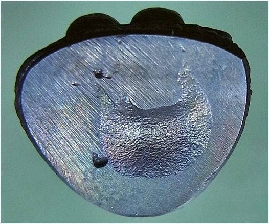 พระรูปหล่อบาตรคู่ หลวงพ่อทองอินทร์ วัดสวนประดู่ทอง หนองไผ่ จ.เพชรบูรณ์ พ.ศ.๒๕๔๘