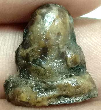 *ปิดตาจิ๋ว แจกแม่ครัว ผงน้ำมันจุ่มรัก หลวงพ่อทองสุข วัดสะพานสูง นนทบุรี*