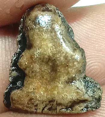 *ปิดตาจิ๋ว แจกแม่ครัว ผงน้ำมันจุ่มรัก หลวงพ่อทองสุข วัดสะพานสูง นนทบุรี*