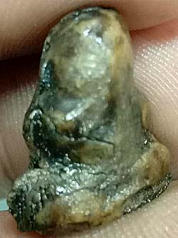 *ปิดตาจิ๋ว แจกแม่ครัว ผงน้ำมันจุ่มรัก หลวงพ่อทองสุข วัดสะพานสูง นนทบุรี*