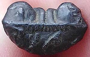 *พระปิดตาหลวงพ่อมี วัดทรงคนอง นครปฐม เนื้อเมฆพัตร ปี๒๔๖๐*