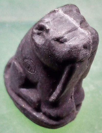 เสือเขี้ยวดาบ เนื้อผง หลวงพ่อสมชาย วัดปริวาส ปี2551