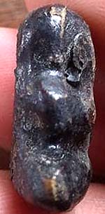 *พระปิดตา พิมพ์เล็ก เนื้อผงจุ่มรักดำ หลวงพ่อทองสุข วัดสะพานสูง นนทบุรี*