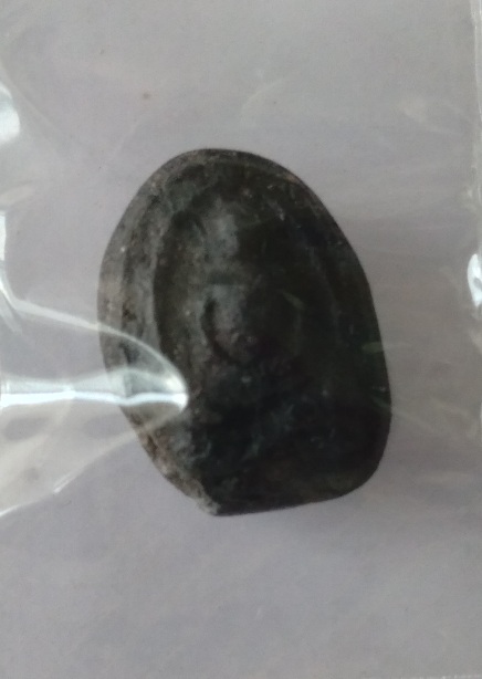 พระเม็ดบัววัดกลางบางแก้ว