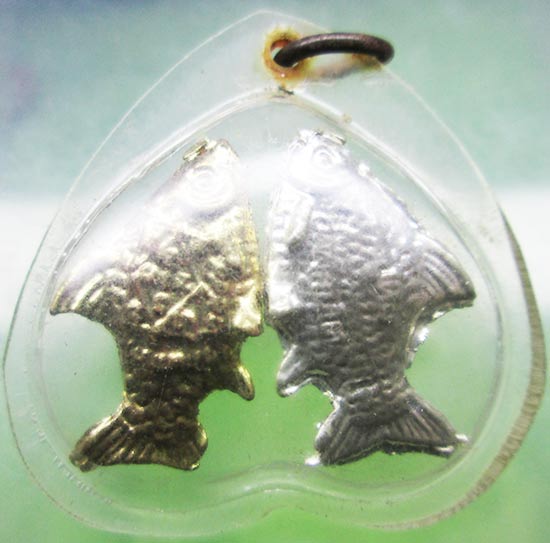 ปลาตะเพียนคู่ หลวงปู่ทิม วัดพระขาว อยุธยา