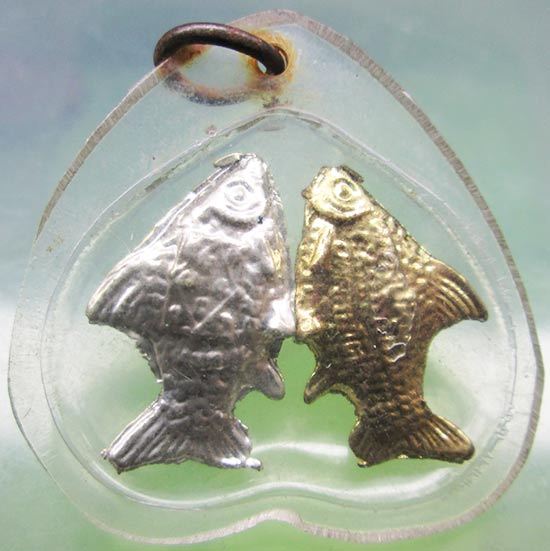 ปลาตะเพียนคู่ หลวงปู่ทิม วัดพระขาว อยุธยา