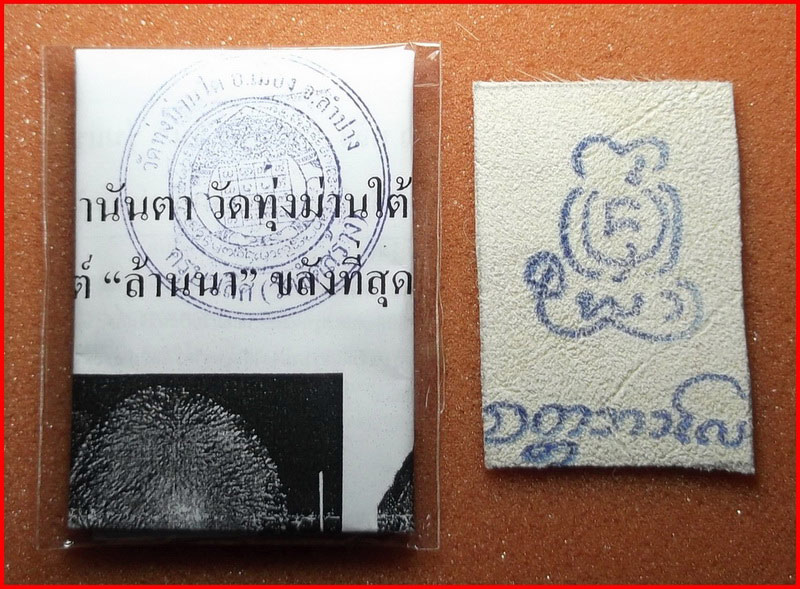 วัดใจ หนังม้าลงม้าเสพนาง (พลังม้าทับม้า) ครูบาเลิศ วัดทุ่งม่านใต้ จ.ลำปาง #3