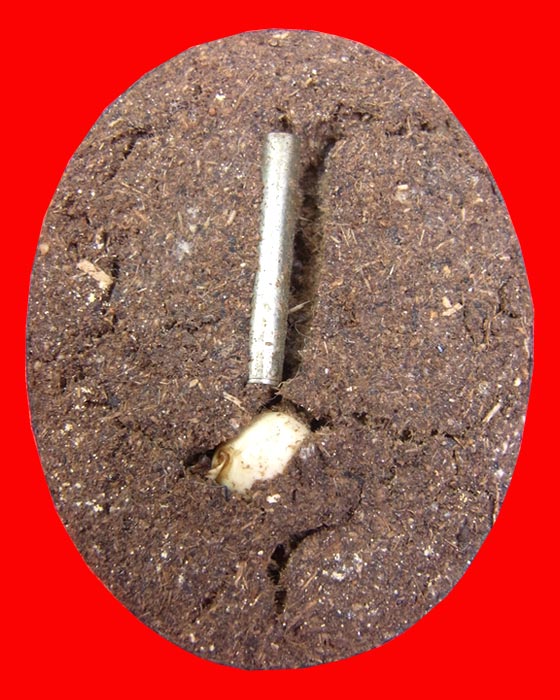 ล็อกเก็ตปู่ฤาษีอำนาจ ทองเจริญ อาศรมคุรุเทวา จ.ขอนแก่น