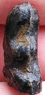 *ปิดตาจิ๋ว แจกแม่ครัว เนื้อผงจุ่มรักดำ หลวงพ่อทองสุข วัดสะพานสูง นนทบุรี*