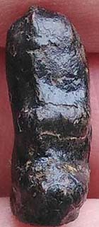 *ปิดตาจิ๋ว แจกแม่ครัว เนื้อผงจุ่มรักดำ หลวงพ่อทองสุข วัดสะพานสูง นนทบุรี*