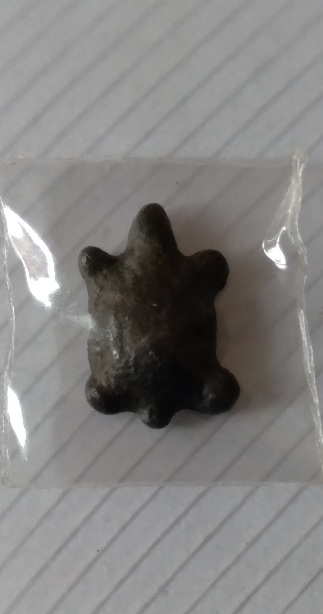 เต่าเนื้อตะกั่วเก่าไม่ทราบที่