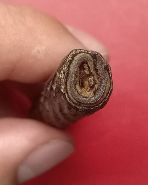 ตะกรุดหน้าผาก ส.เก่า