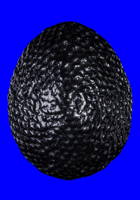 เบี้ยแก้ห่วงทองแดง หลวงปู่เจือ ปิยะสีโล วัดกลางบางแก้ว จ.นครปฐม