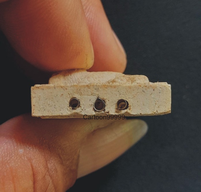 หนูกินนมแมว ฝังตะกรุด หลวงปู่ถ้า อนาลโย สุดยอดเครื่องรางมหาเสน่ห์ครับ