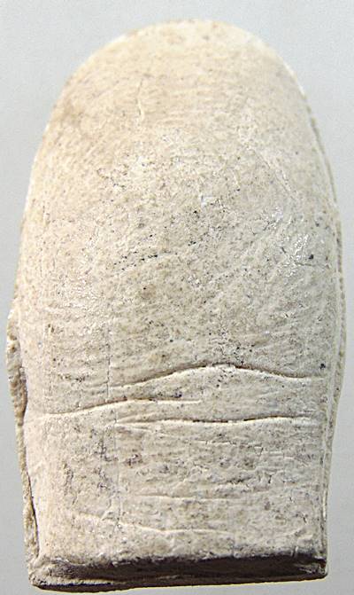 ๒๐ นิ้วโป้งหลวงพ่อคูณ ปี2538 ลายนิ้วมือนี้จัดสร้างด้วยมวลสารชนิดเยี่ยม