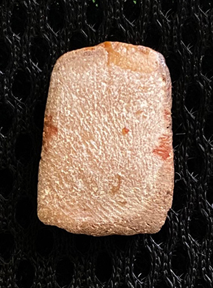 สมเด็จมีกินพิมพ์จิ๋ว เคลือบน้ำตาล ปิดทองครึ่งองค์ อาจารย์ลอย โพธิ์เงิน