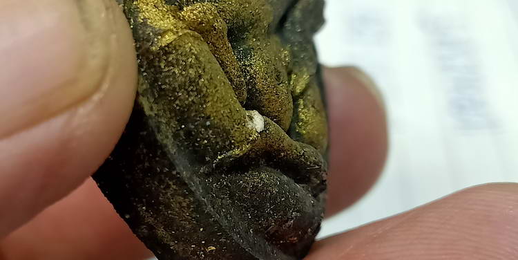 พระปิดตาปลดหนี้จัมโบ้ รุ่นรวยมหาเศรษฐี หลวงพ่อนงค์ อภิชาโต วัดบางน้ำชน ธนบุรี จ.กรุงเทพฯ ปี 2566