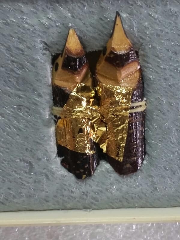 เหรียญรุ่น๑ เจ้าพ่อเห่าดง+สาลิกาลิ้นทอง ต.ห้วยใหญ่ บางละมุง ชลบุรี พร้อมกล่องเดิมๆ 