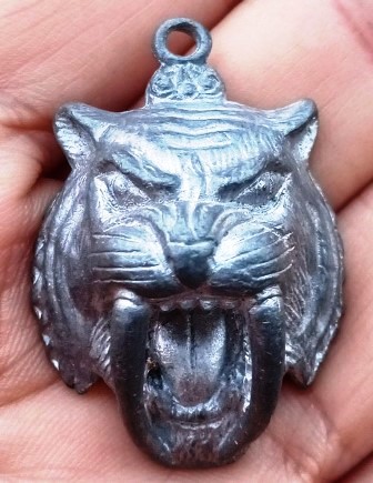 หัวเสือเขี้ยวดาบหลังรูปเหรียญเม็ดเเตงหลวงพ่อสุด