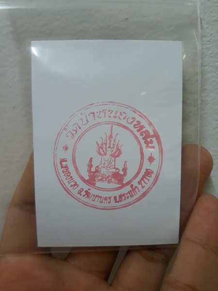 3. เหรียญขวัญถุง รุ่นเดียวกับดวงเศรษฐี 3 คัดเฉพาะเหรียญ ร.9 วัดป่าหนองหล่ม