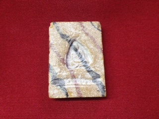 สมเด็จสายรุ้ง หลวงพ่อขอม วัดไผ่โรงวัว