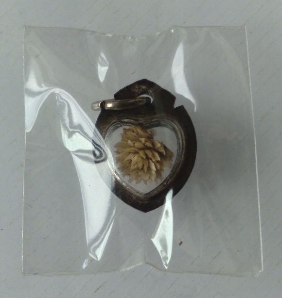 ดอกบานไม่รู้โรยหลวงพ่อแก้ว วัดหัวนา จ.เพชรบุรี