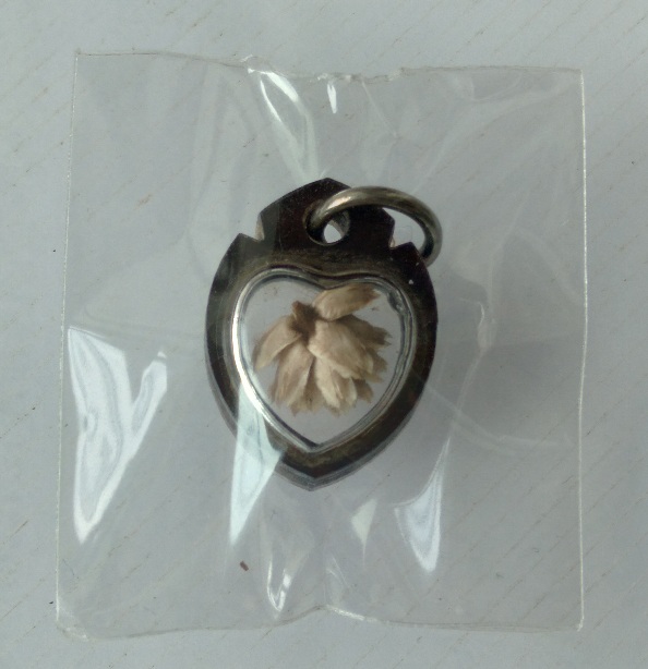 ดอกบานไม่รู้โรยหลวงพ่อแก้ว วัดหัวนา จ.เพชรบุรี