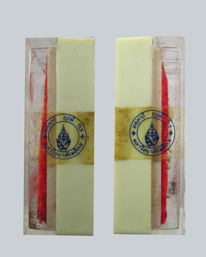 พระผง พระพุทธเมตตา 84 พรรษา สมเด็จย่า สมเด็จพระศรีนครินทราบรมราชชนนี  ปี2527